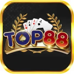 Sun52 13 top88